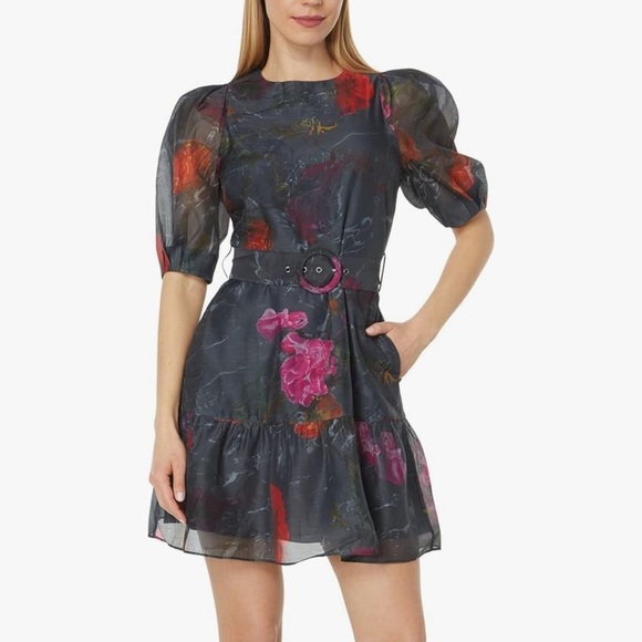 New! Ted Baker Tatya Puff Floral Sleeve‎ Mini Dress - Picture 1 of 10